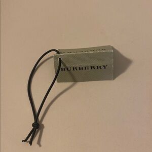 Burberry $325 Tag